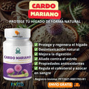 CARDO MARIANO®